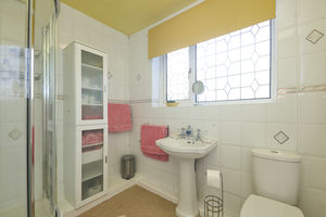 Photo 10- click for photo gallery